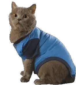 다시는 프로덕션에서 안 터지게 보호복 입은 코드