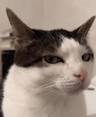 의심의 눈초리로 코드를 노려보는 개발자