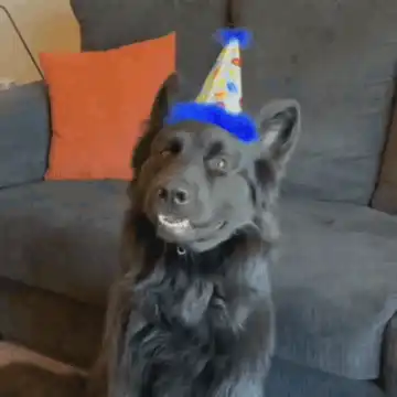 리팩토링 완료 후 깔끔해진 코드