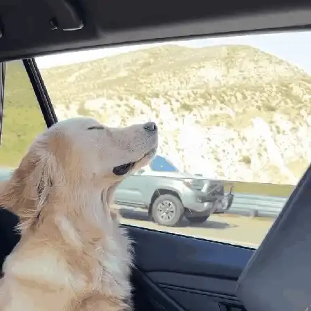 주말 전에 버그 해결 완료