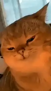 원인 추적해보니 3개월 전 내 커밋