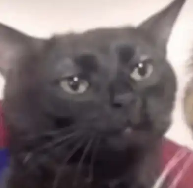 로그 한 줄에서 근본 원인을 찾은 순간